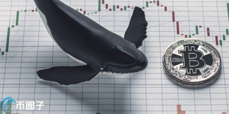 币市复苏？比特币巨鲸单日增持6万枚BTC 刷新今年最高纪录