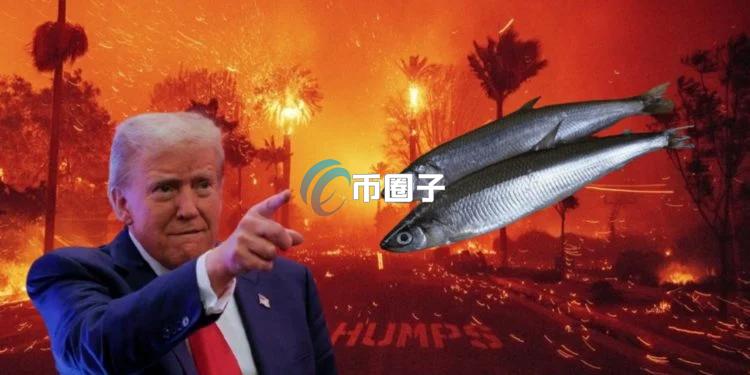 川普：洛杉矶火灾是无能州长为了救鱼导致！Meme币smelt一度暴涨11700%