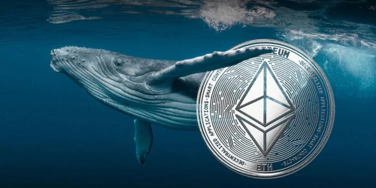 以太坊跌破1600美元！疑有巨鲸趁机抄底2.5万枚ETH