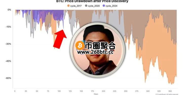 CryptoQuant CEO Ki Young Ju：比特币回调30%是每轮牛市正常现象