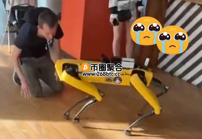 以太坊创始人V神对机器人喵喵叫！引发币圈网友热议