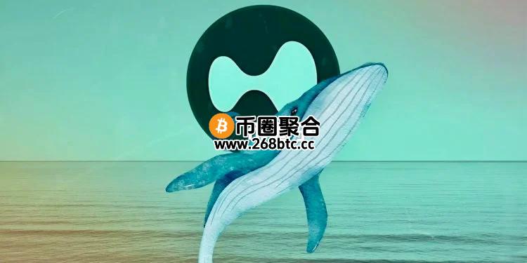 Hyperliquid50倍杠杆巨鲸将DeBank帐号名改为MELANIA！ZachXBT将曝光其犯罪证据
