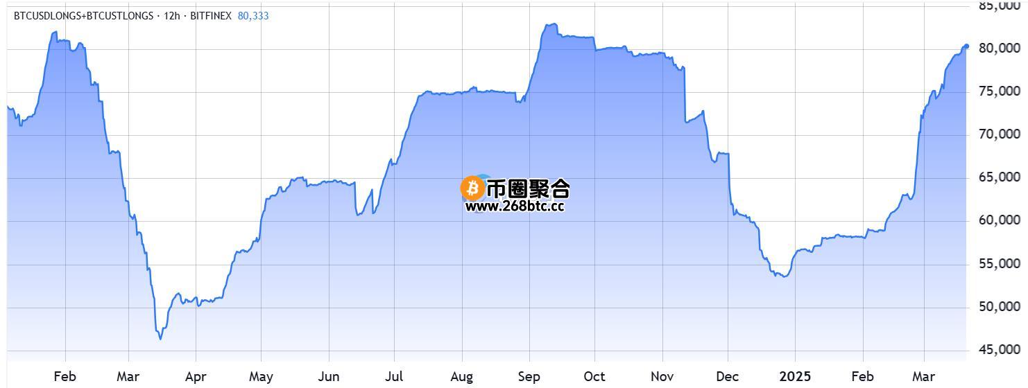 Bitfinex比特币杠杆多头部位