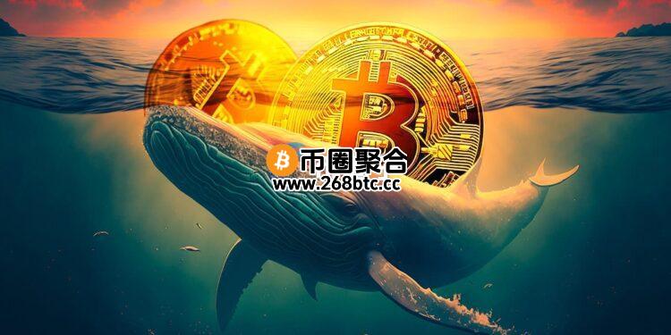Glassnode：巨鲸大户正进场抄底比特币！买盘之强劲为8个月来首见
