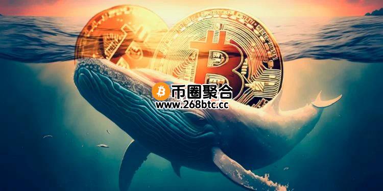 Cryptoquant分析师Darkfost：比特币巨鲸当前倾向继续持有 市场尚未过热