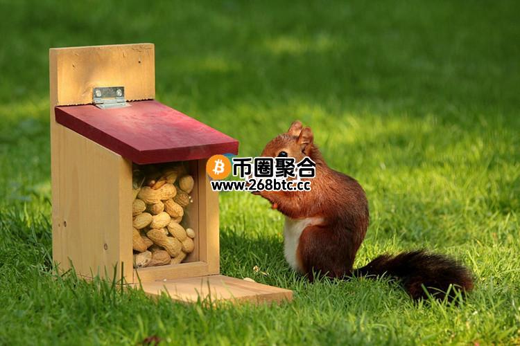 马斯克为松鼠花生安乐死哀悼！引发Solana区块链上的Meme币PNUT交易量暴增120%
