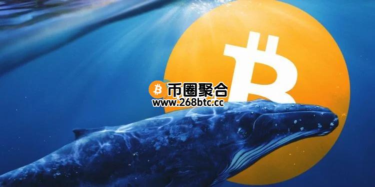 CryptoQuant CEO Ki Young Ju：比特币周期理论已死！鲸鱼卖的BTC流向机构投资人