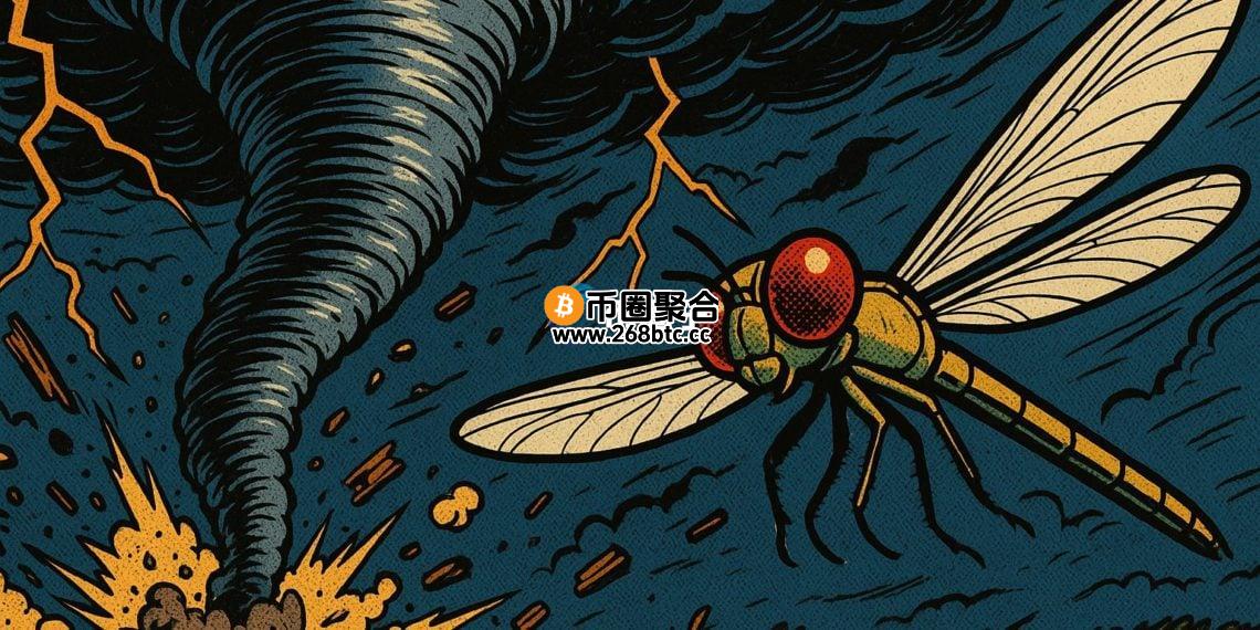 美国司法部澄清：不会因为投资Tornado Cash起诉Dragonfly！加密货币创投吃定心丸