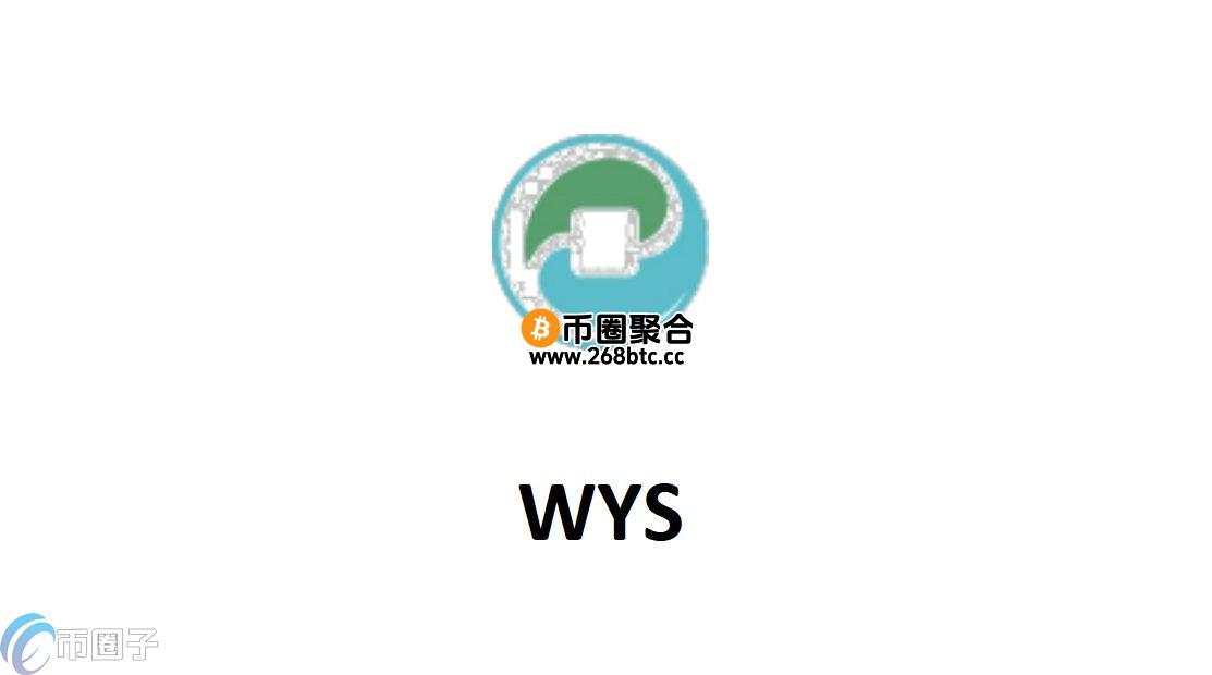 WYS是什么币种？WYS币有投资价值吗？