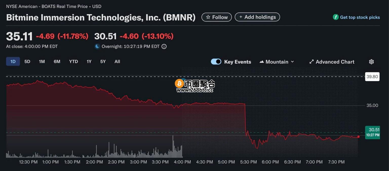 BitMine过去24小时走势