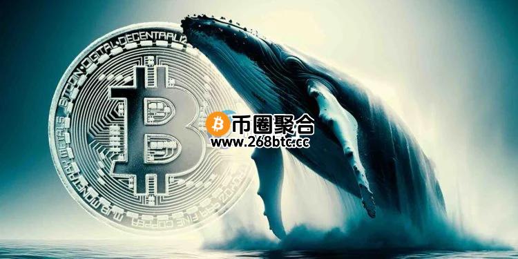 AI姨数据：一位比特币巨鲸第四度做空 最新空单规模达8011万美元