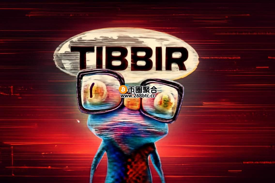 TIBBIR是什么币种？TIBBIR币怎么样？