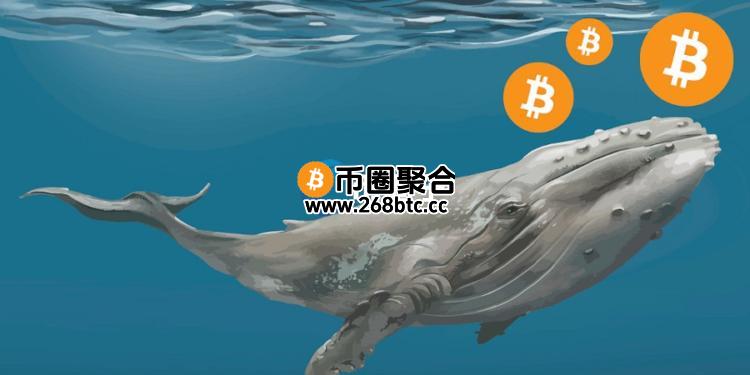 链上数据分析师Ai姨：比特币巨鲸换仓做多以太坊三天狂赚3936万美元
