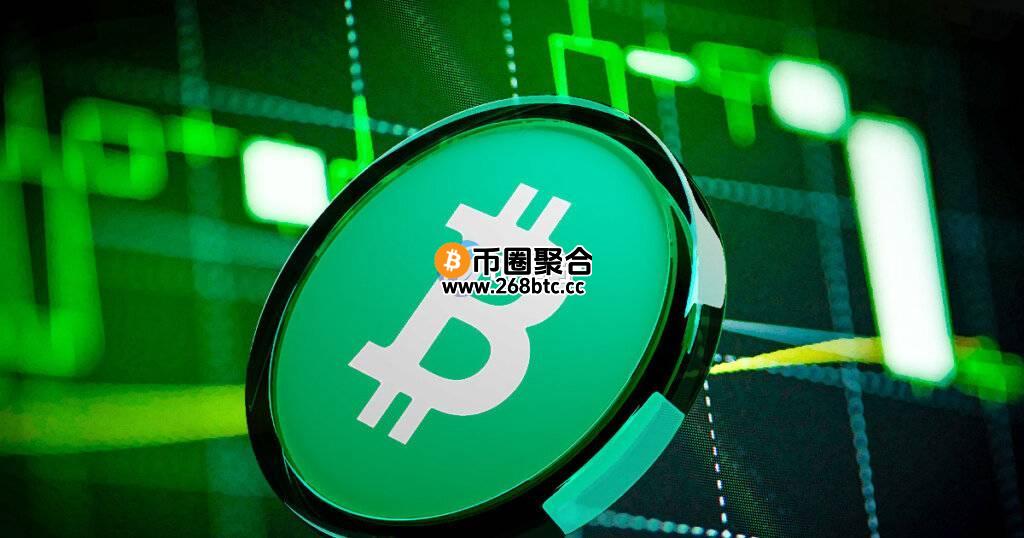 BCH币牛市能涨几倍？一文了解BCH币涨的可能性