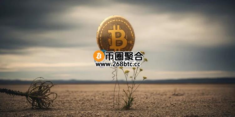 散户不买比特币了？链上小额比特币交易占比创2年半最低 引发社群讨论
