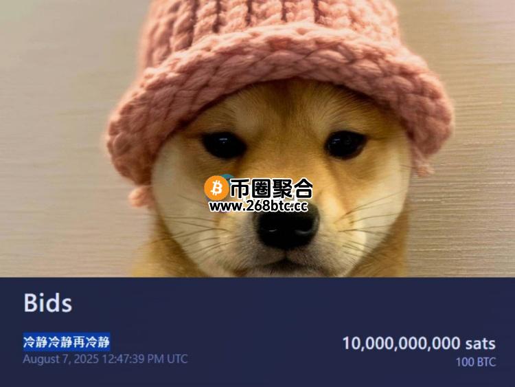 MEME币Dogwifhat(WIF)原型针织帽拍卖中 KOL出价100枚比特币