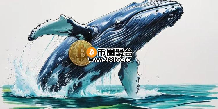 链上数据显示沉睡十年比特币巨鲸转出3000枚BTC！市场再度面临卖压？