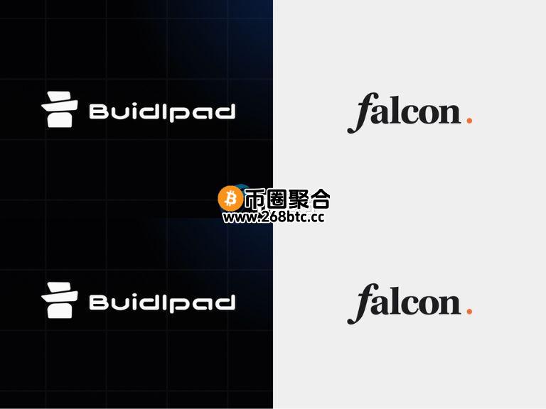 加密货币做市商DWF Labs旗下稳定币Falcon开启公售！获川普家族WLFI投资