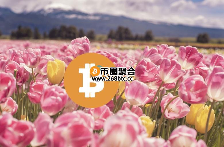 彭博分析师：比特币和郁金香狂热不同 BTC就像黄金或艺术品一样